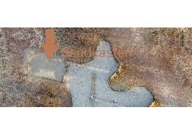 image answer choice