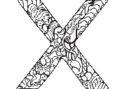 image answer choice