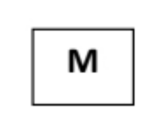 image answer choice