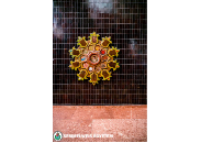 image answer choice