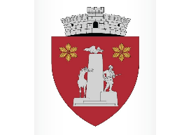Descrierea heraldică a stemei:
Scut triunghiular roșu, cu marginile rotunjite, încărcat cu un obelisc de argint, alcătuit dintr-un bloc de piatră surmontat de un vultur cu aripile desfăcute și flancat dreapta-stânga de un cal cu capul conturnat și un soldat în poziție de luptă; în cantonul superior drept și în cel stâng se află câte un buchet din șase frunze de stejar, unite la coadă și dispuse radial, de aur. Scutul este timbrat de o coroană murală de argint cu un turn crenelat.

Semnificația elementelor însumate:
Obeliscul simbolizează eroicele lupte care au avut loc pe raza actualei comune Oituz, în 1916-1917, în timpul Primului Război Mondial.
Culoarea roșie a câmpului scutului semnifică sângele pe care eroii l-au vărsat pe câmpul de luptă.
Frunzele de stejar reprezintă, prin numărul lor, cele 6 sate ale comunei Oituz: Oituz, Marginea, Călcâi, Ferestrău, Hârja și Poiana Sărată.
Coroana murală, de argint, cu un turn crenelat, semnifică faptul că localitatea are rangul de comună.
