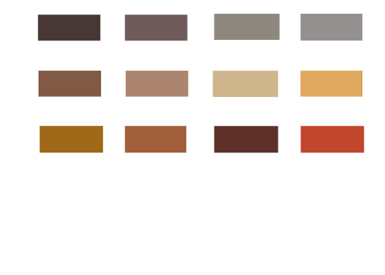 image answer choice