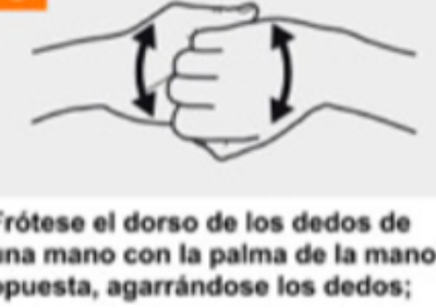 Descripción de la imagen 7