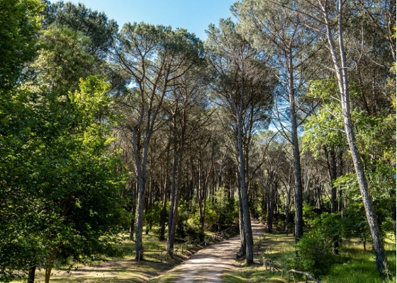 Natura