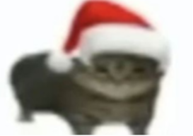 GATITO NAVIDAD