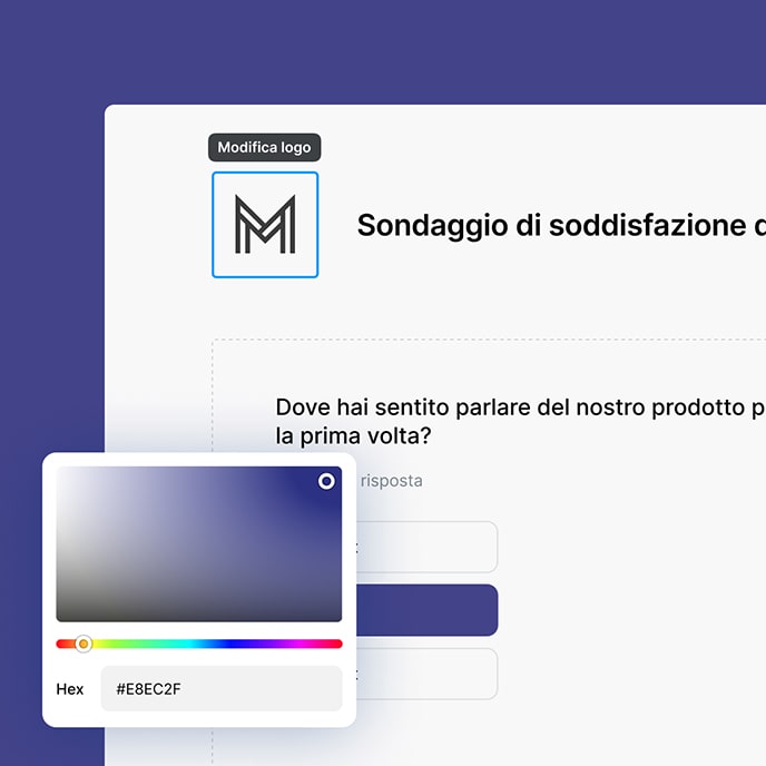 La personalizzazione permette di cambiare colore, inserire il logo e modificare l'aspetto del questionario secondo le esigenze.