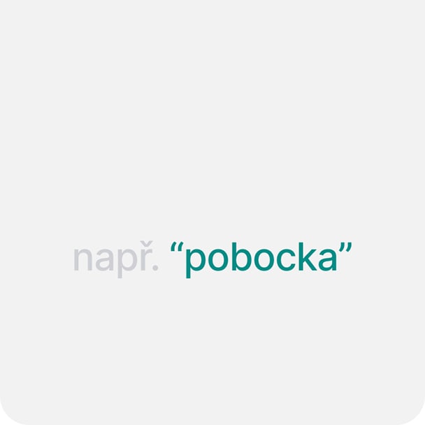 Ukázka parametru - pobočka